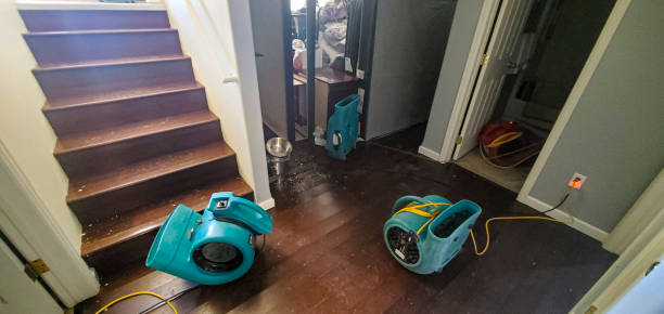 Best Water damage contractors near me  in Manhattan, KS