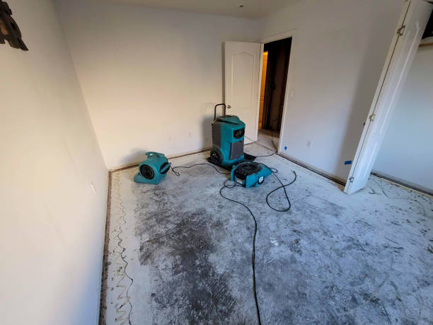Best Mold removal after water damage  in Manhattan, KS