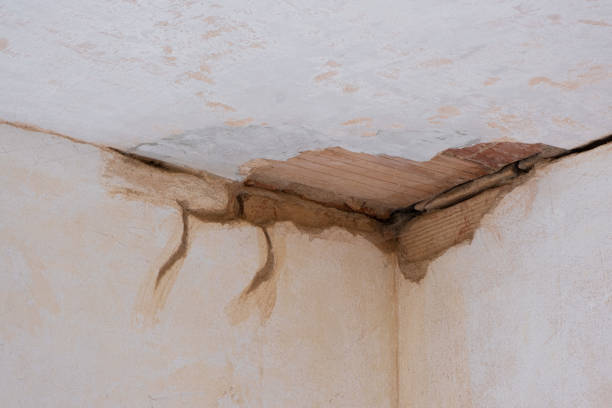 Best Water damage contractors near me  in Manhattan, KS