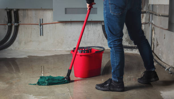 Best Fire Damage Restoration  in Manhattan, KS