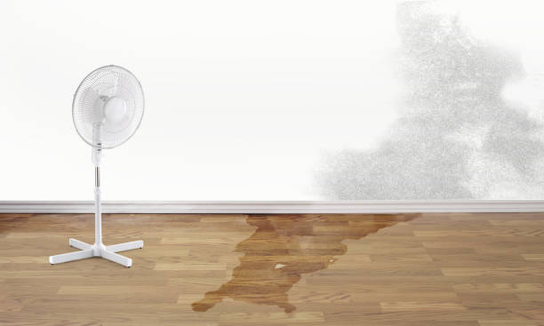 Best Local water damage restoration  in Manhattan, KS