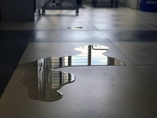 Best Professional water damage repair  in Manhattan, KS
