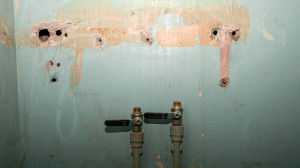 Best Ceiling water damage repair  in Manhattan, KS